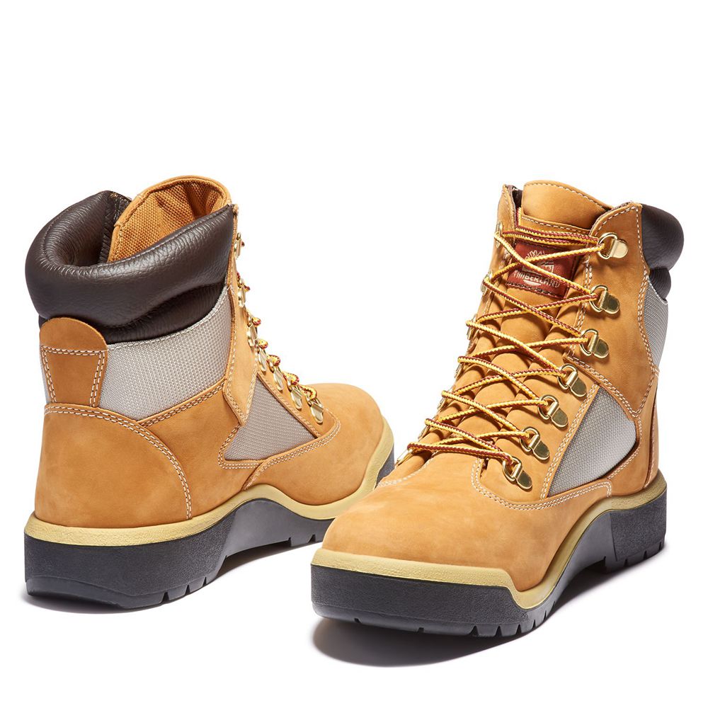 Bocanci 6-Inch Timberland Barbati Maro/Negrii - Waterproof Field - Romania - RUOVAK058